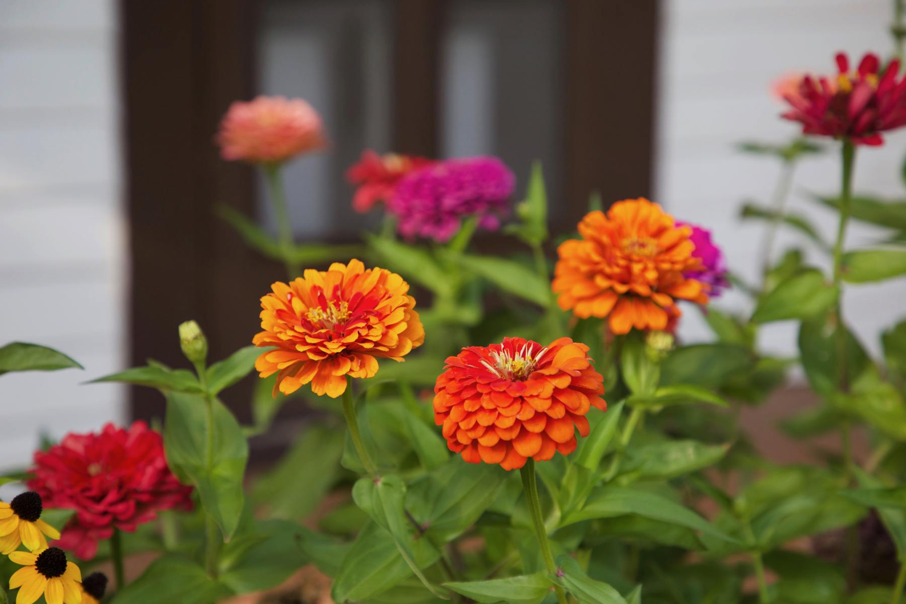 Enhance Your Visit Ramsey County Historical Society