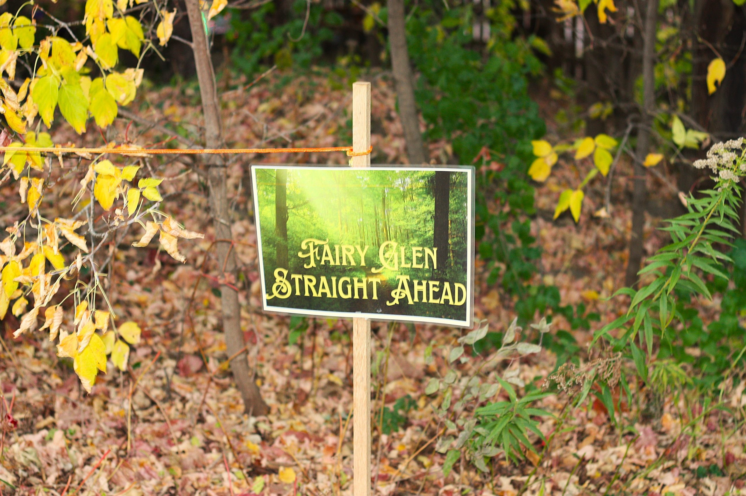 A wooded background with a sign posted with the text "Fairy Glen Straight Ahead"