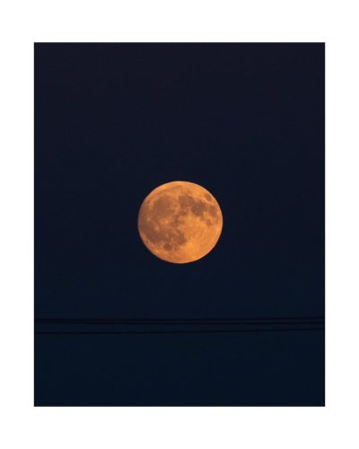 2025 Farm-to-Table Dinner - Blood Moon