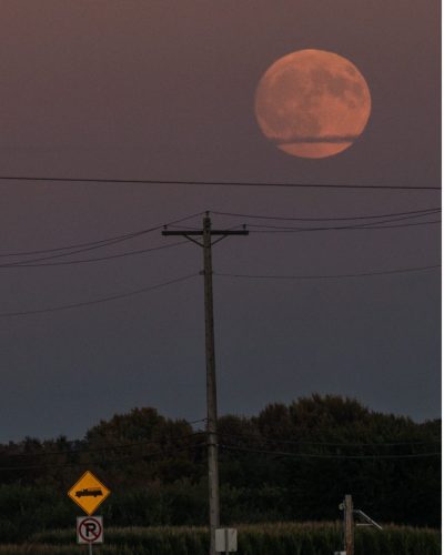2025 Farm-to-Table Dinner - Blood Moon