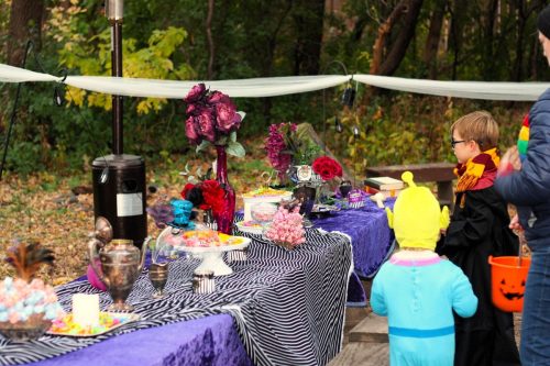 Gibbs Farm Trick or Treat Trail 2025 5