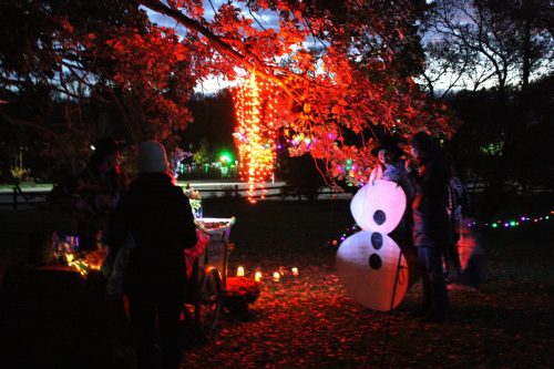Gibbs Farm Trick or Treat Trail 2025 9