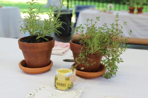 Ethel Stewart Luncheon 6