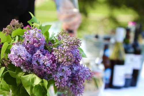 Lilacs
